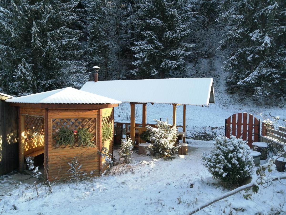 Karpaty Gutsulska * Mykulychyn