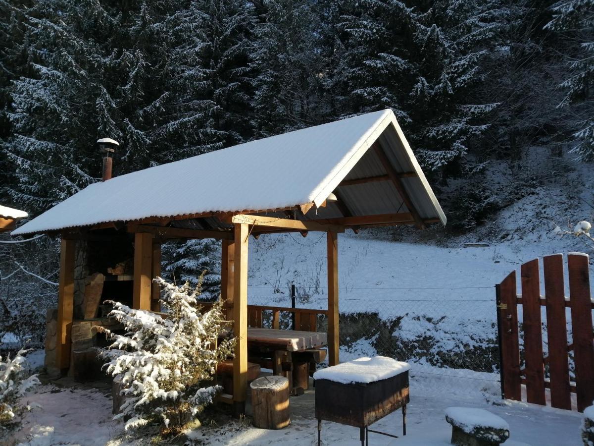 Karpaty Gutsulska Holiday home *